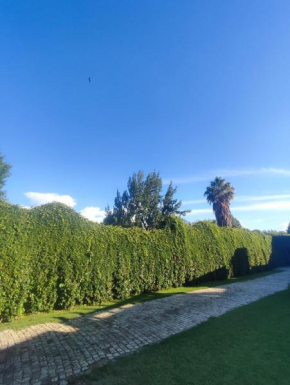 Casa Vistalba